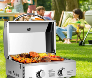 Best 2 Burner Gas Grills For Your Compact Grilling Demands